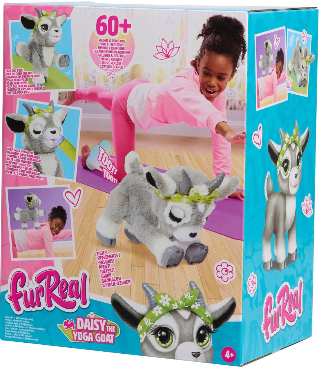Daisy the Yoga Goat — view 3
