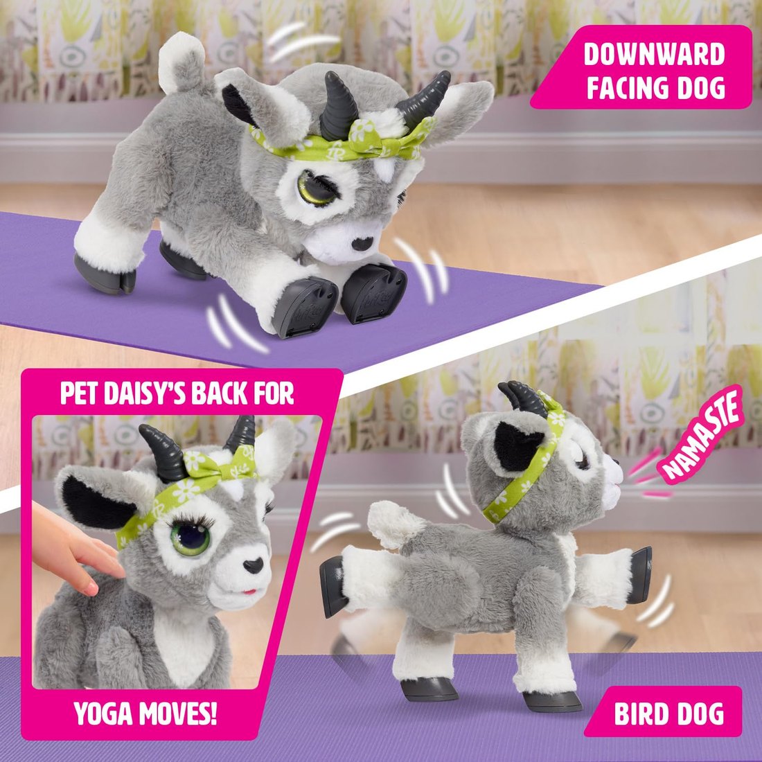 Daisy the Yoga Goat — view 4